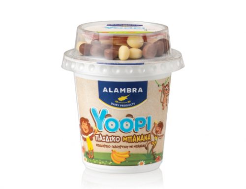Yoghurt Dessert with Biscuit