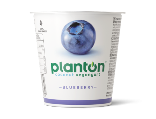 Coconut Yoghurt With Blueberry Vegan